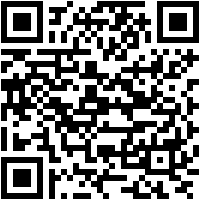 Screen Stream Mirroring